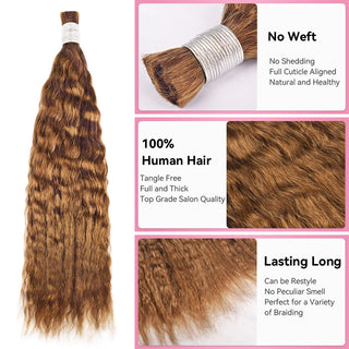 #30 Wave And Wet Boho Braids No Weft Bulk Hair For Human Hair CVOHAIR