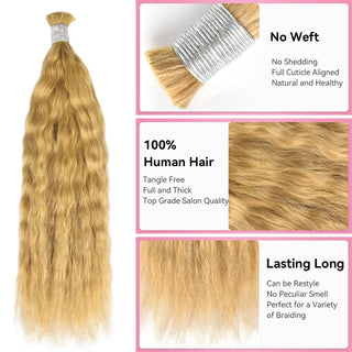 #27 Wave And Wet Boho Braids No Weft Bulk Hair For Human Hair CVOHAIR